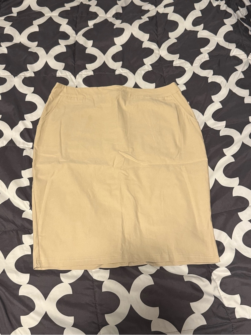 Neutral Beige Pencil Skirt - Women's Professional Staple